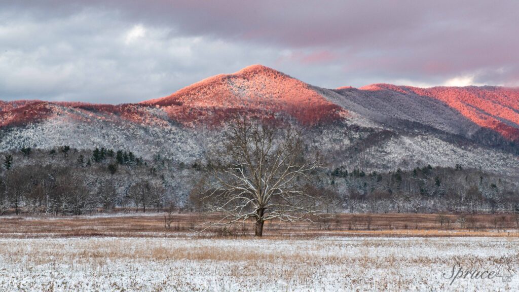 Mountain peak in Cades Cove with rare pink alpenglow during golden hour.