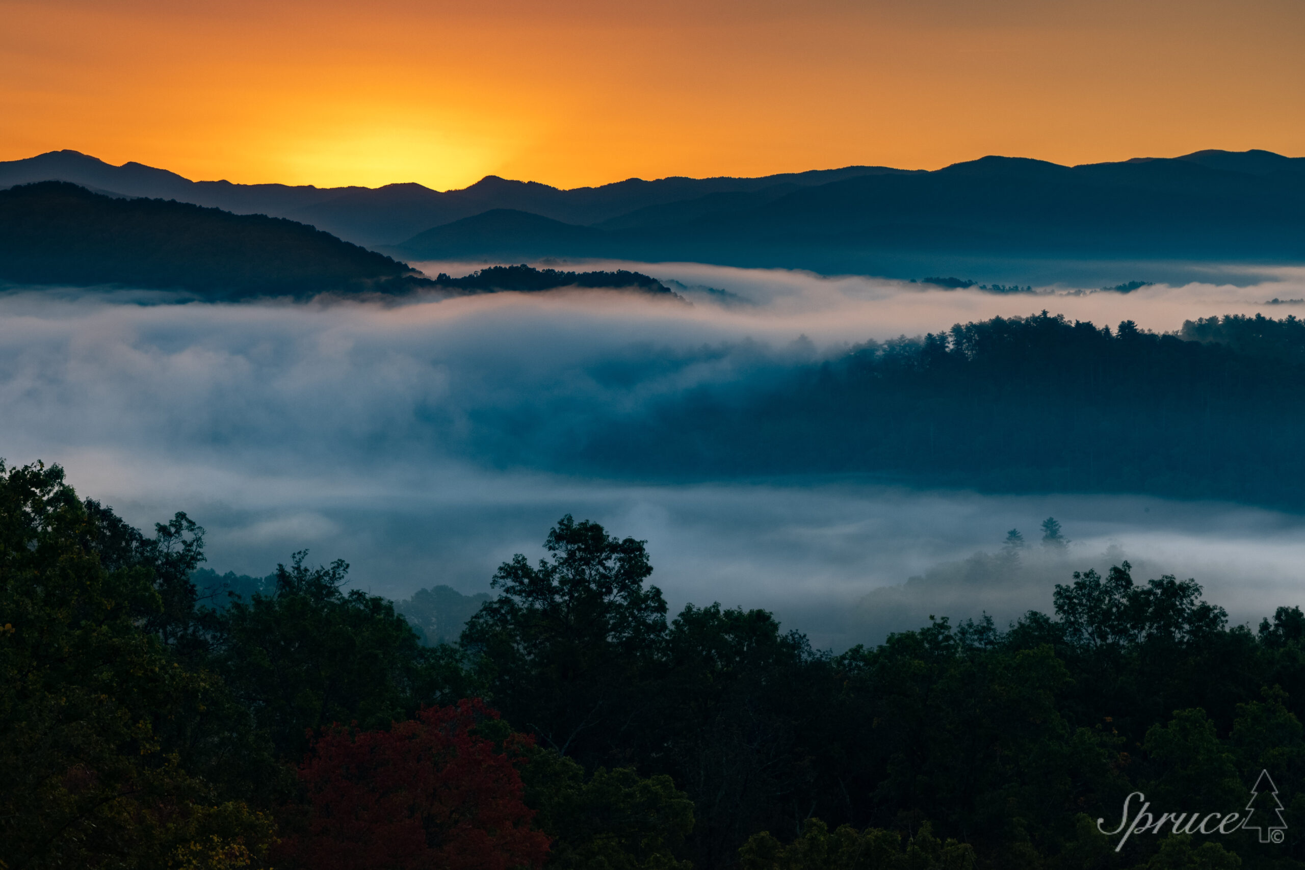 Smoky Mountains surrounded by fog.
