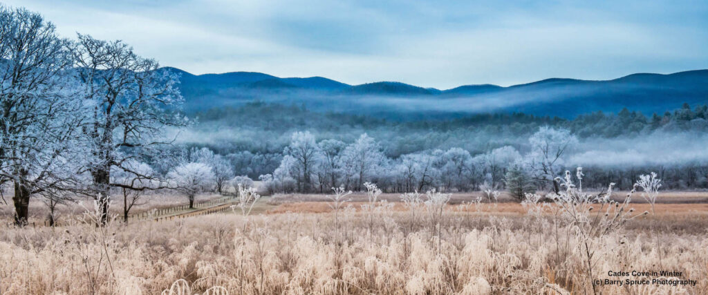 Frosty grass and trees in Cades Cove with blue mountain backdrop.