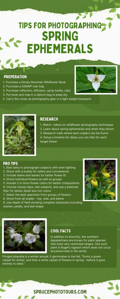 Infographic tips for photographing spring ephemerals