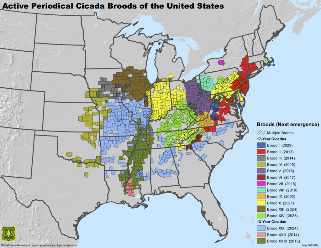 Cicada Brood Map by USDA Forest Service